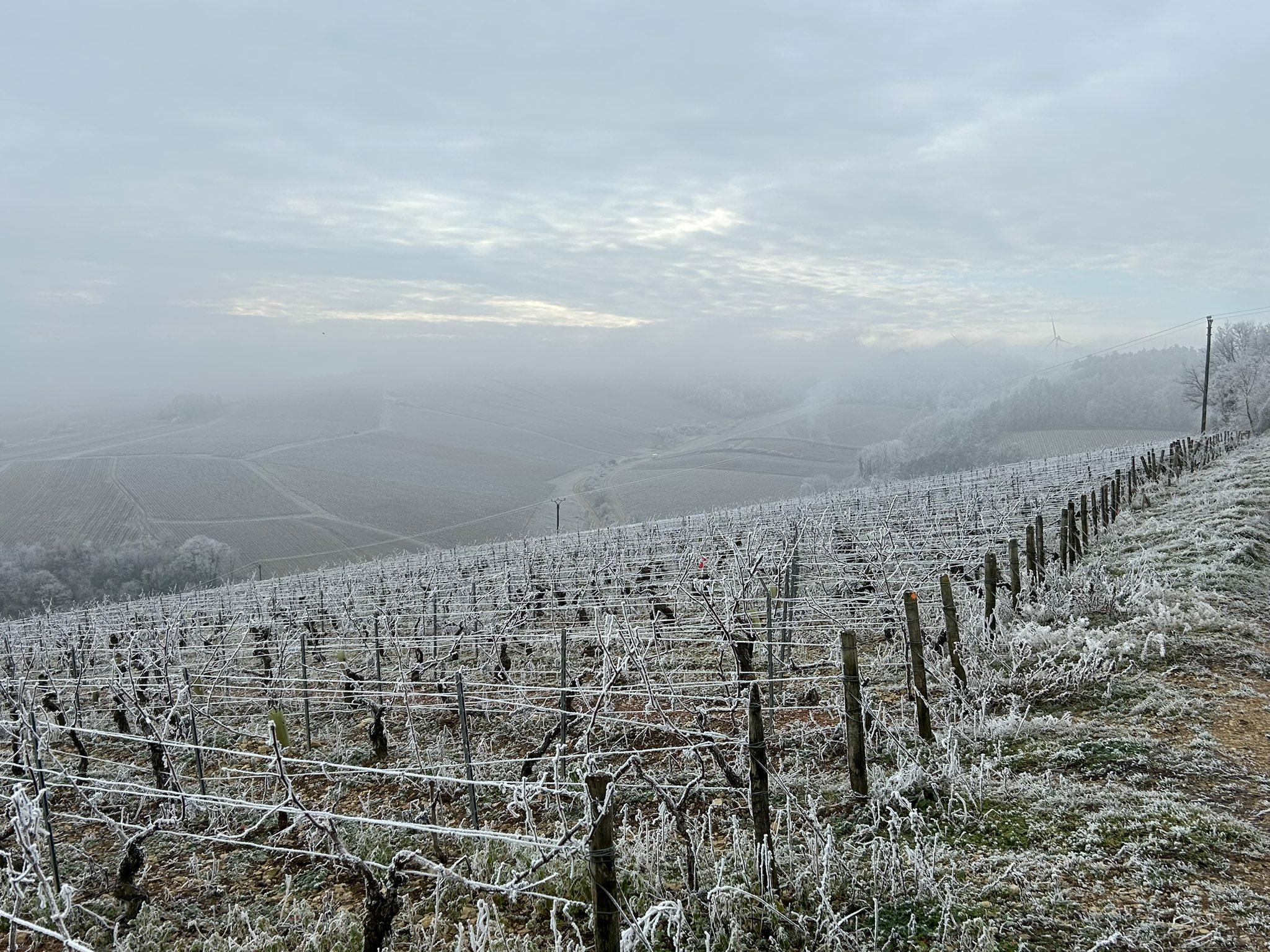 Cet hiver peut-il être considéré comme froid ?